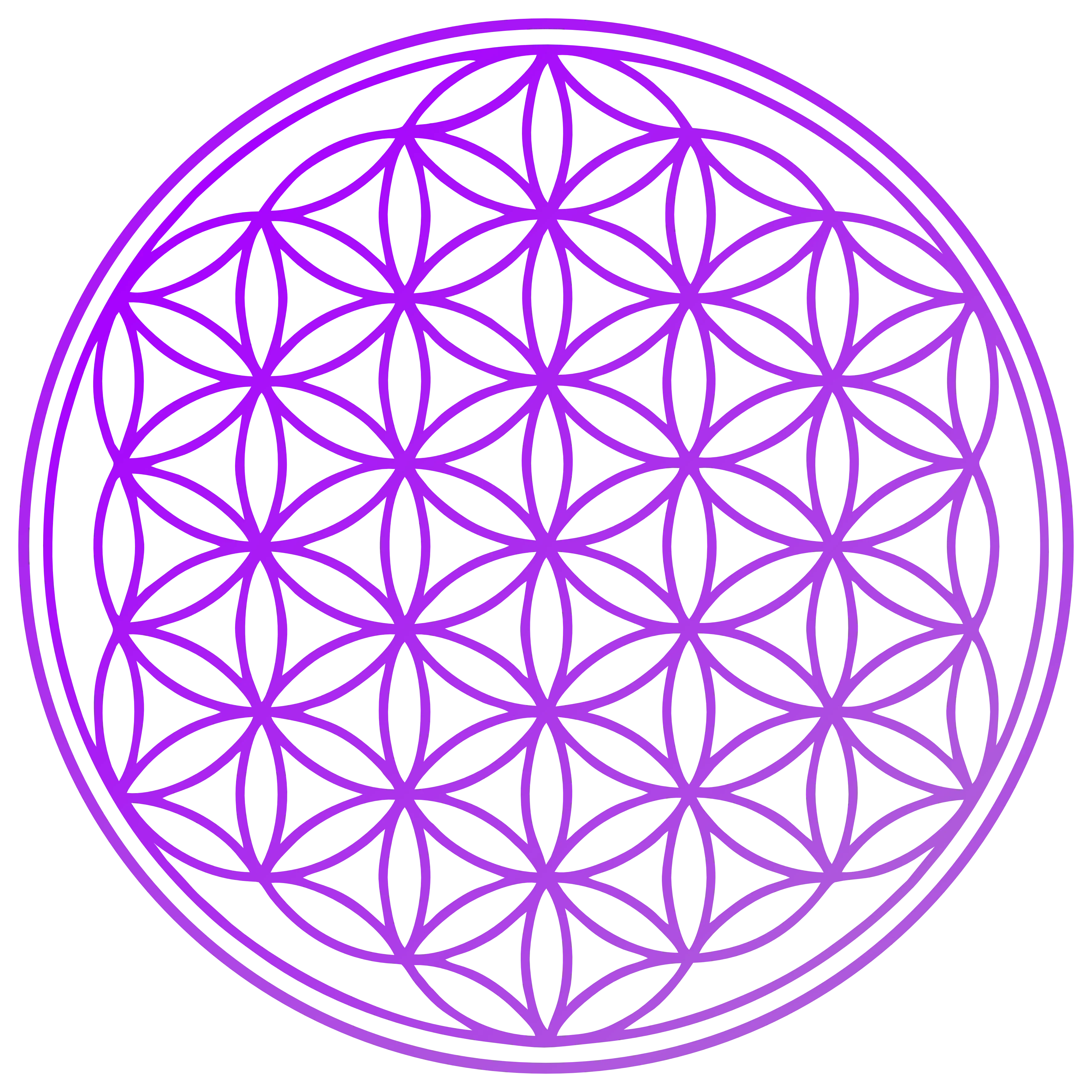 The Pineal Gland: Unlocking the Gateway to Higher Consciousness